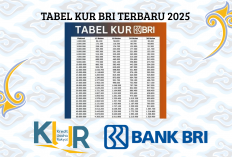 Pinjaman Modal Usaha dengan Cicilan yang Ringan dari KUR BRI 2025!