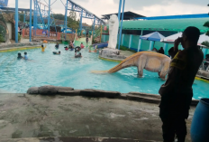 FWA ASN Nataru Meledak! Kerja dari Rumah Sambil Nongkrong, Apakah Pelayanan Publik Tetap Aman?