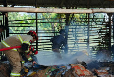 Gara-gara Puntung Rokok Gudang Kardus Terbakar di Tortoran
