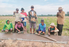Poktan Babadan Makmur Swadaya Bangun JUT Sepanjang 400 Meter