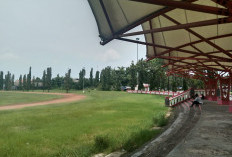 Lapangan Atletik Ditumbuhi Rumput Liar, Kondisi Sport Center Memprihatinkan 