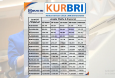 Pinjam 10–100 Juta di KUR BRI? Ini Perhitungan Cicilan yang Harus Kamu Siapkan