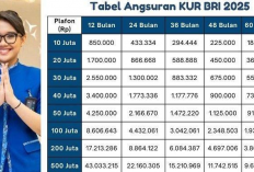 Jangan Salah Hitung! Ini Tabel KUR BRI 2025 dari 50 Juta Sampai 100 Juta
