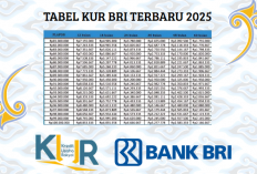 Mau Usaha Tapi Kurang Modal? Ajukan KUR BRI Plafon Rp100 Juta Sekarang Juga!