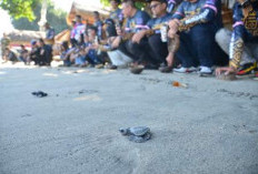 Lombok Pride! MAXi Tour Boemi Nusantara Hadirkan Sensasi Lombok 360, Jelajahi Alam, Budaya dan Pesisir Eksotis