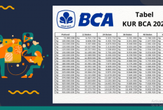 Pinjam 100 Juta di BCA? Ini Hitungan Cicilan yang Bikin Tenang