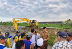 Lucky Hakim Pantau Normalisasi Saluran Irigasi di Kandanghaur dan Gabuswetan
