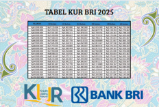 Simulasi Tabel Pinjaman Rp1-100 Juta KUR BRI 2025! Cician Ringan Bikin UMKM Full Senyum!