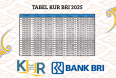 Usaha Kecil Dengan Mimpi Besar, Siapa Takut? KUR BRI Rp1-100 Juta Siap Bantu Kamu!