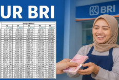 Tabel KUR BRI 2025 Terbaru: Simulasi Angsuran Pinjaman 500 Juta, Syarat, Bunga, dan Cara Pengajuan
