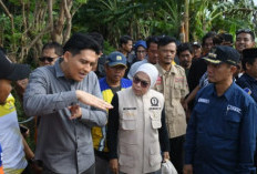 Indramayu Dikepung Banjir, Bupati Lucky Cek Tanggul Sungai Cimanuk