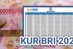 Pengen Pinjam 100 Juta di BRI? Lihat Dulu Tabel KUR 2025 Ini, Jangan Kaget!