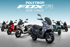 Rahasia Fox-R Hemat Rp5 Juta! Garansi Lifetime yang Bikin Kompetitor Pucat Pasi!