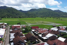 Berbasis Gotong Royong, Desa Manemeng Perkuat Ekosistem Ekonomi Kerakyatan melalui Program Desa BRILiaN