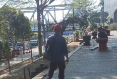 Warga Indramayu Kota Dihimbau Waspadai Keberadaan Monyet Liar