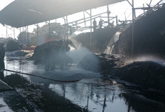 Kebakaran Besar di Pelabuhan Karangsong, 3 Kapal, Pajero, Motor dan Warung Ludes