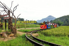 Jangkau 5.245 Desa BRILiaN, BRI Perluas Dukungan bagi Pengembangan Ekonomi Desa