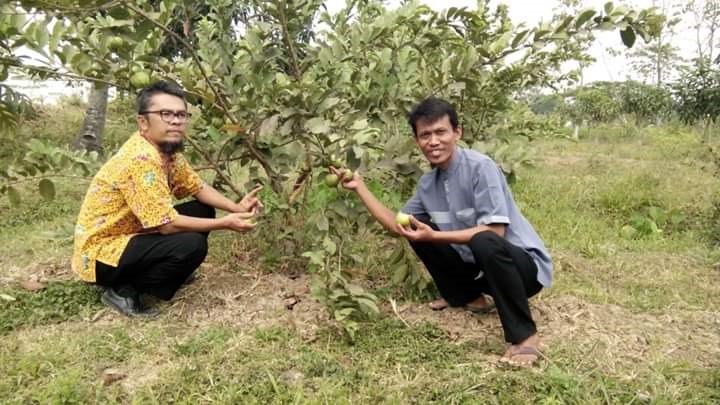 Pacu Pertumbuhan Ekonomi Desa lewat BUMDes