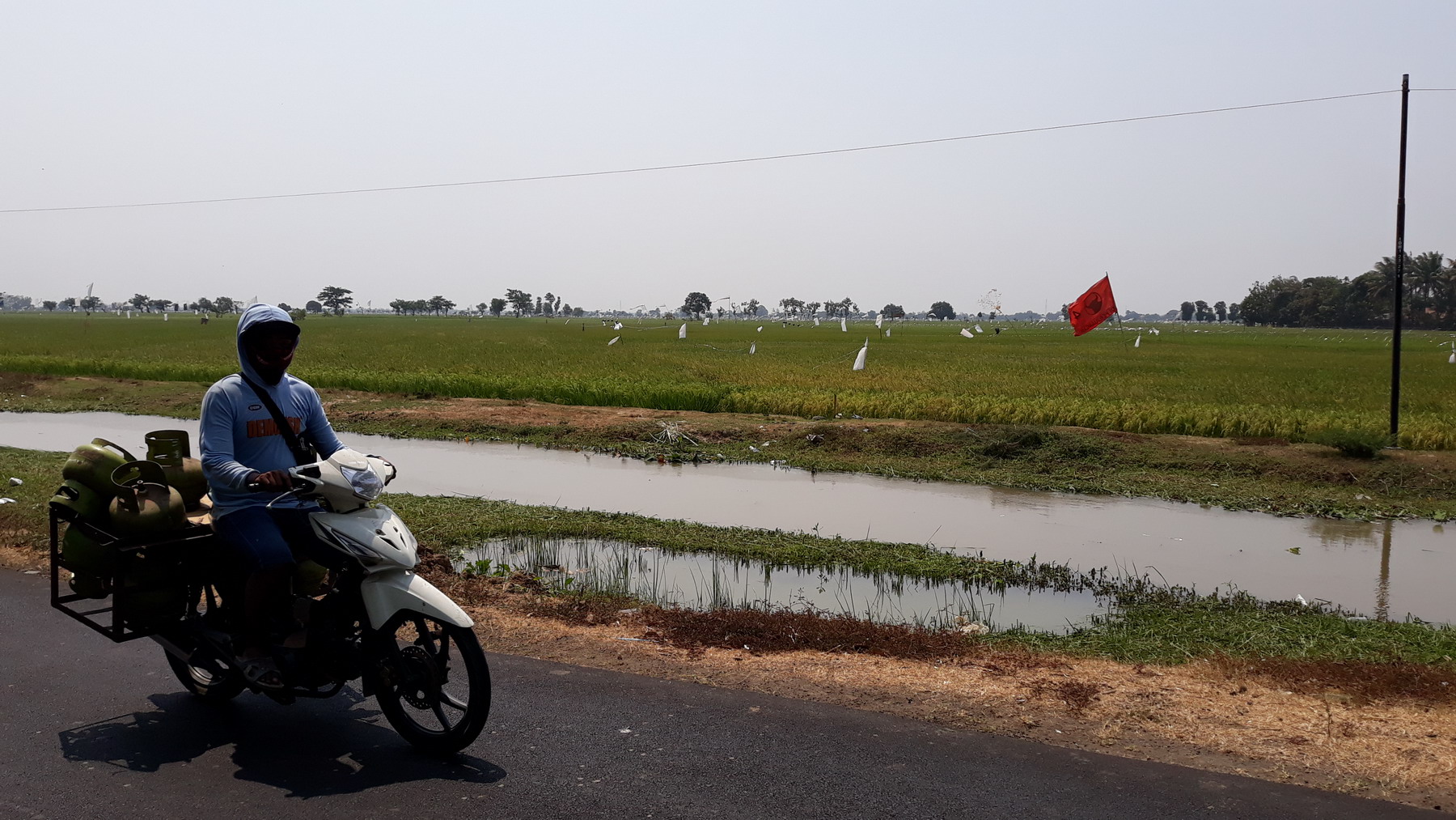 Usir Burung dengan Bendera Parpol