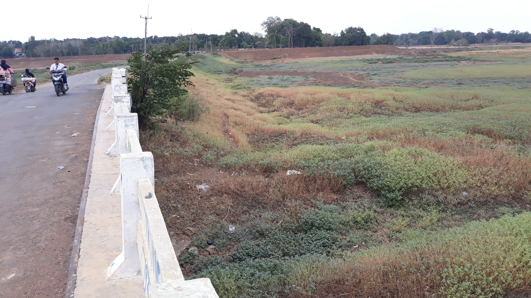 Petani Sudah Olah Sawah Tadah Hujan