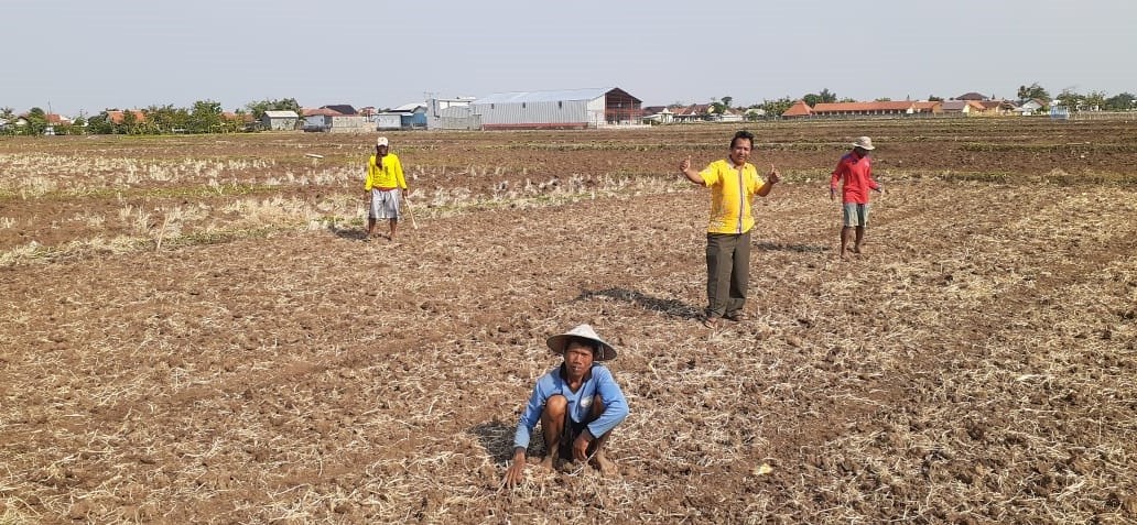 Petani Tadah Hujan Tunda Tanam