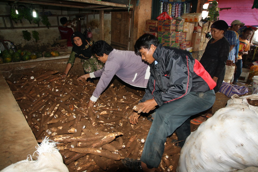 Musim Hujan, Ubi Kayu Laris Manis