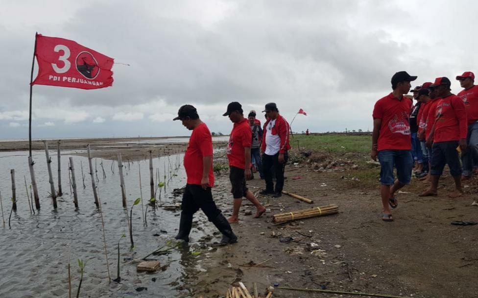 Ratusan Kader PDIP Tanam Mangrove