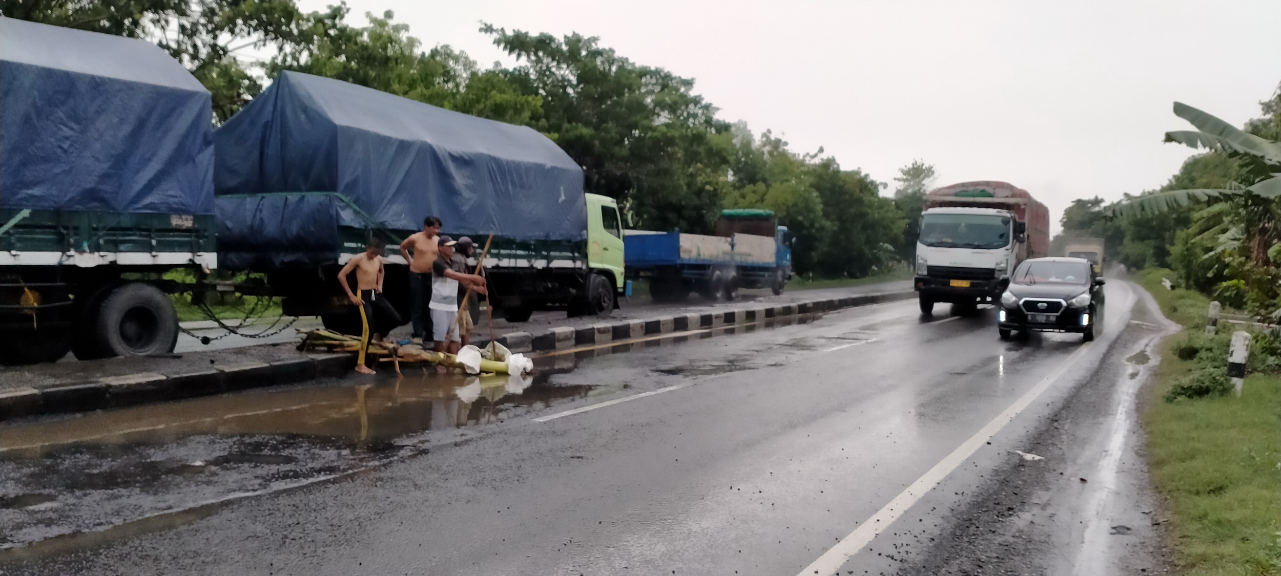 Warga Lohbener Tanam Batang Pisang di Lubang Jalan