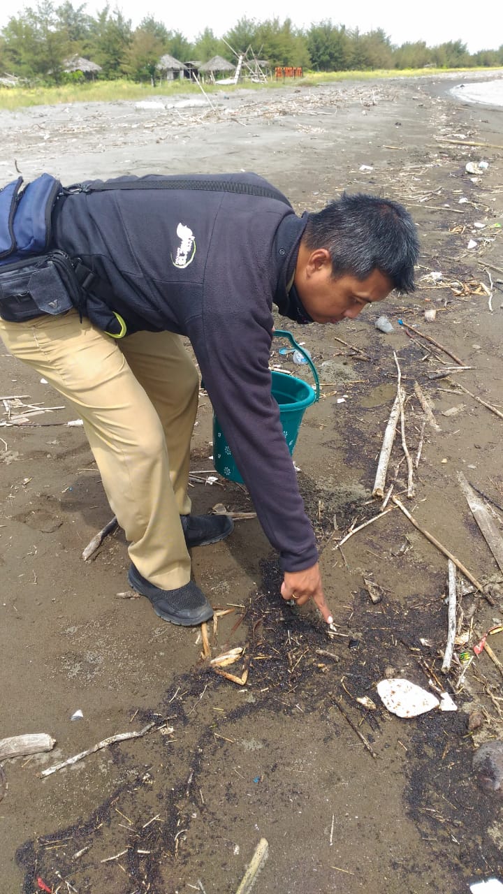 Pantai Tiris Tercemar Minyak Mentah, Pertamina Harus Tanggungjawab…