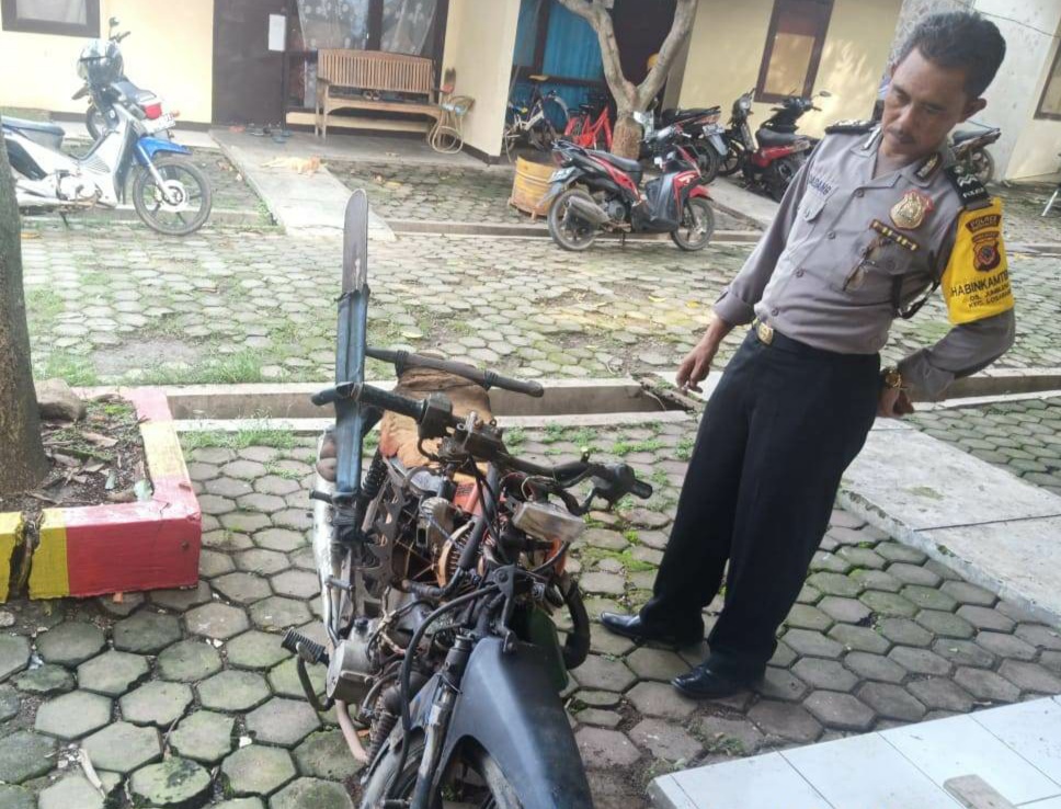 Warga Tewas Usai Tebang Pohon