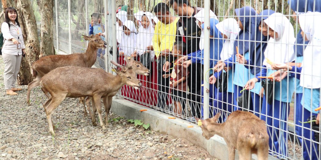 Empat Ekor Rusa Dilepas di Taman Kehati