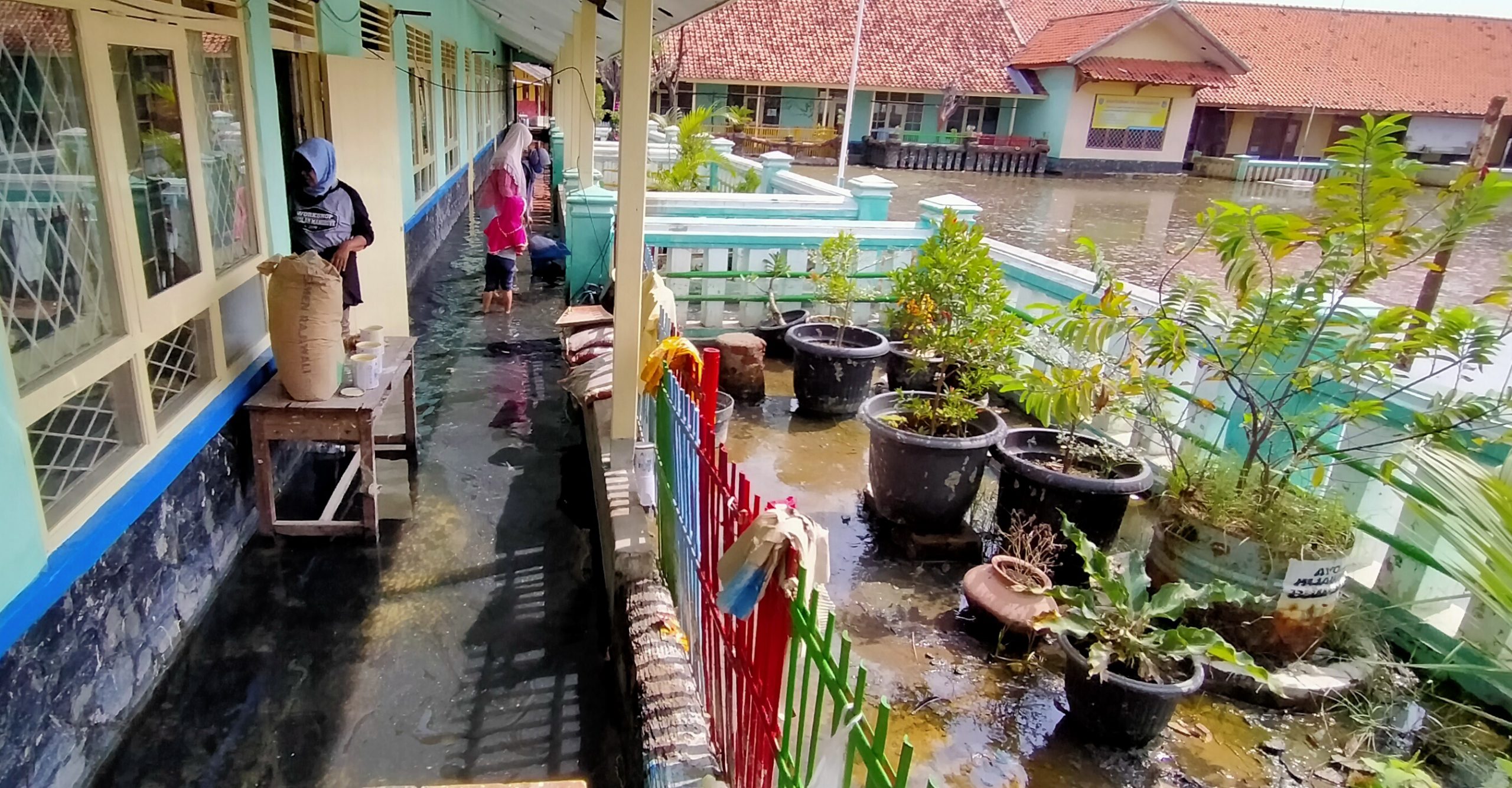 Banjir Rob Surut, Warga Bersih-bersih