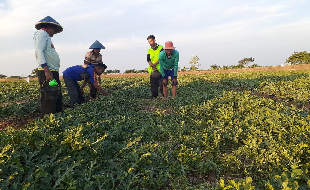 Petani Kandanghaur Senang, Air Datang