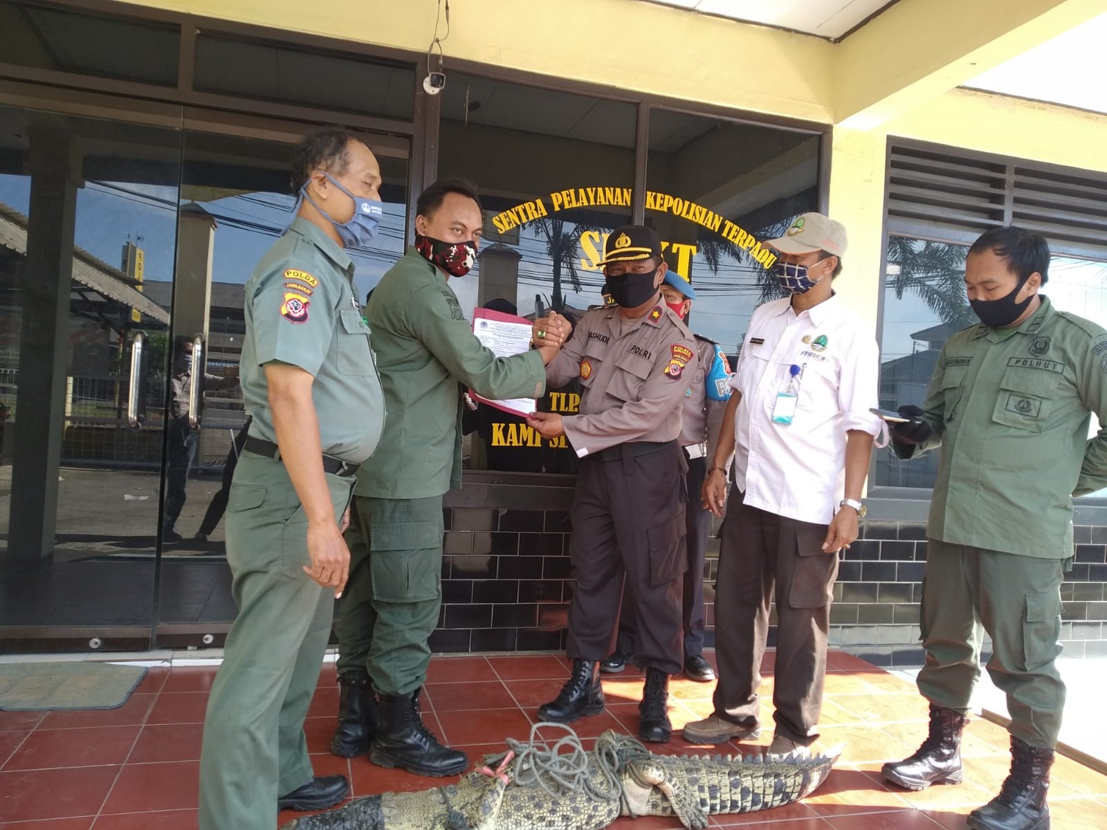 Warga Tangkap Buaya saat Melintasi Jalan