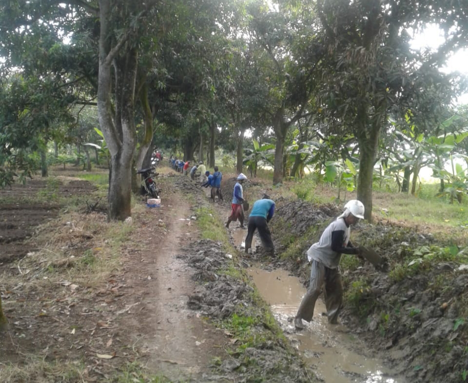 Petani Gotong Royong Bersihkan Irigasi