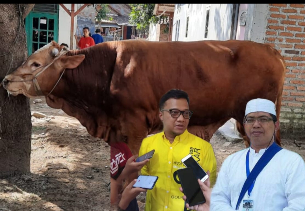 Cabup Daniel Kurban Sapi di Ponpes Darussurur