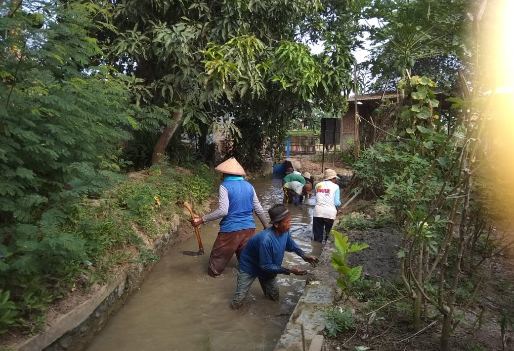 Petani Normalisasi Saluran Irigasi