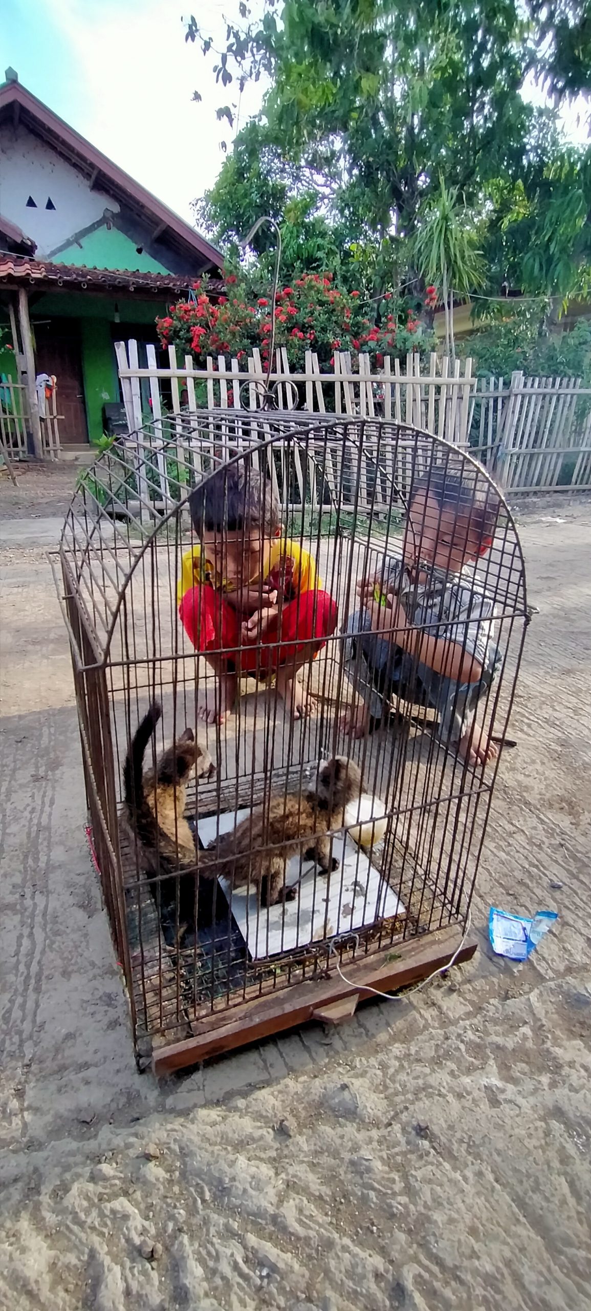 Warga Anjatan Buru Hama Garangan