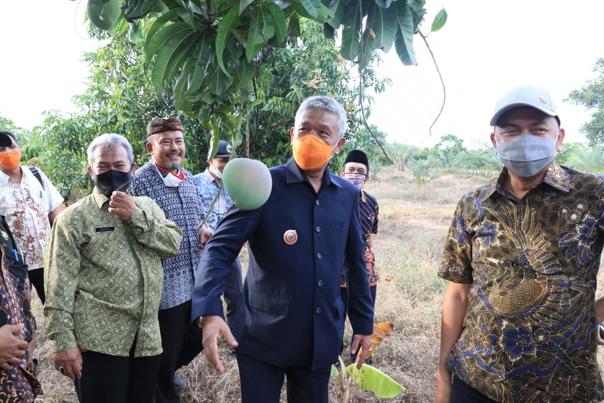 Jalan Menuju Agrowisata Situ Bolang Rusak