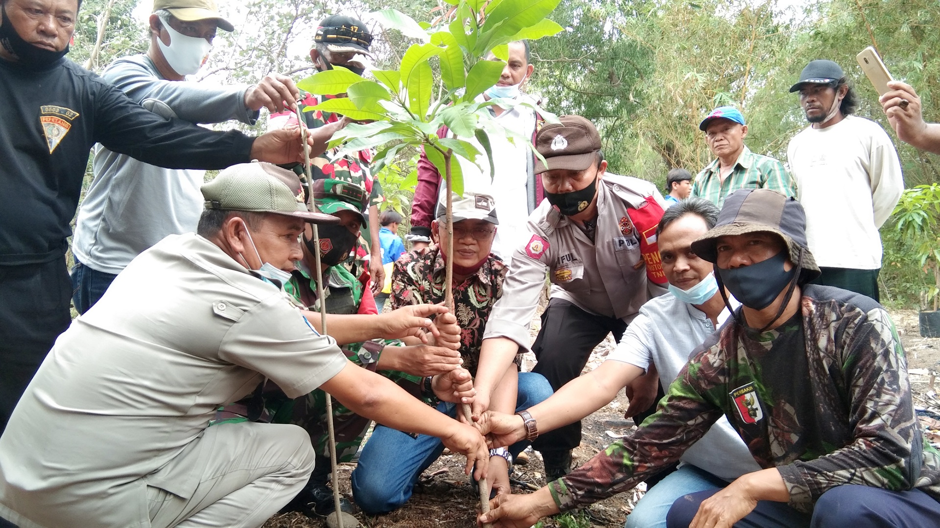 Penjualan Bibit Buah Masih Primadona