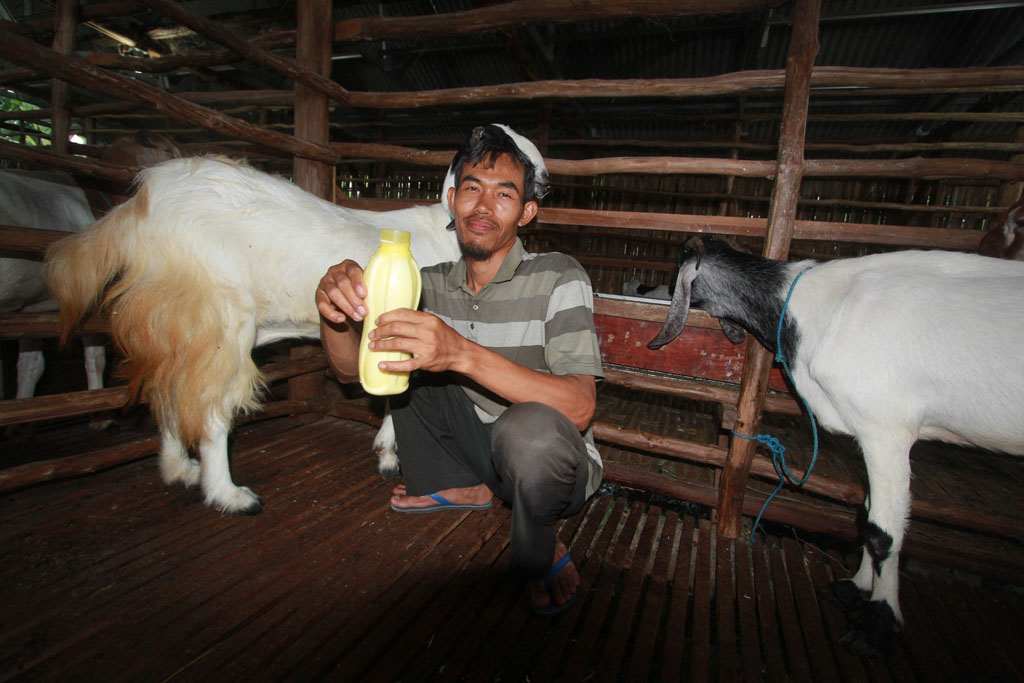 Al Urwatul Wutsqo Juara OPOP Jawa Barat, Kelola Usaha Susu Kambing Etawa