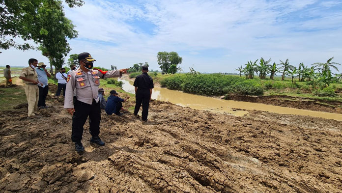 Perbaikan Tanggul Sungai Congger Tuntas, Petani Mulai Tanam Padi