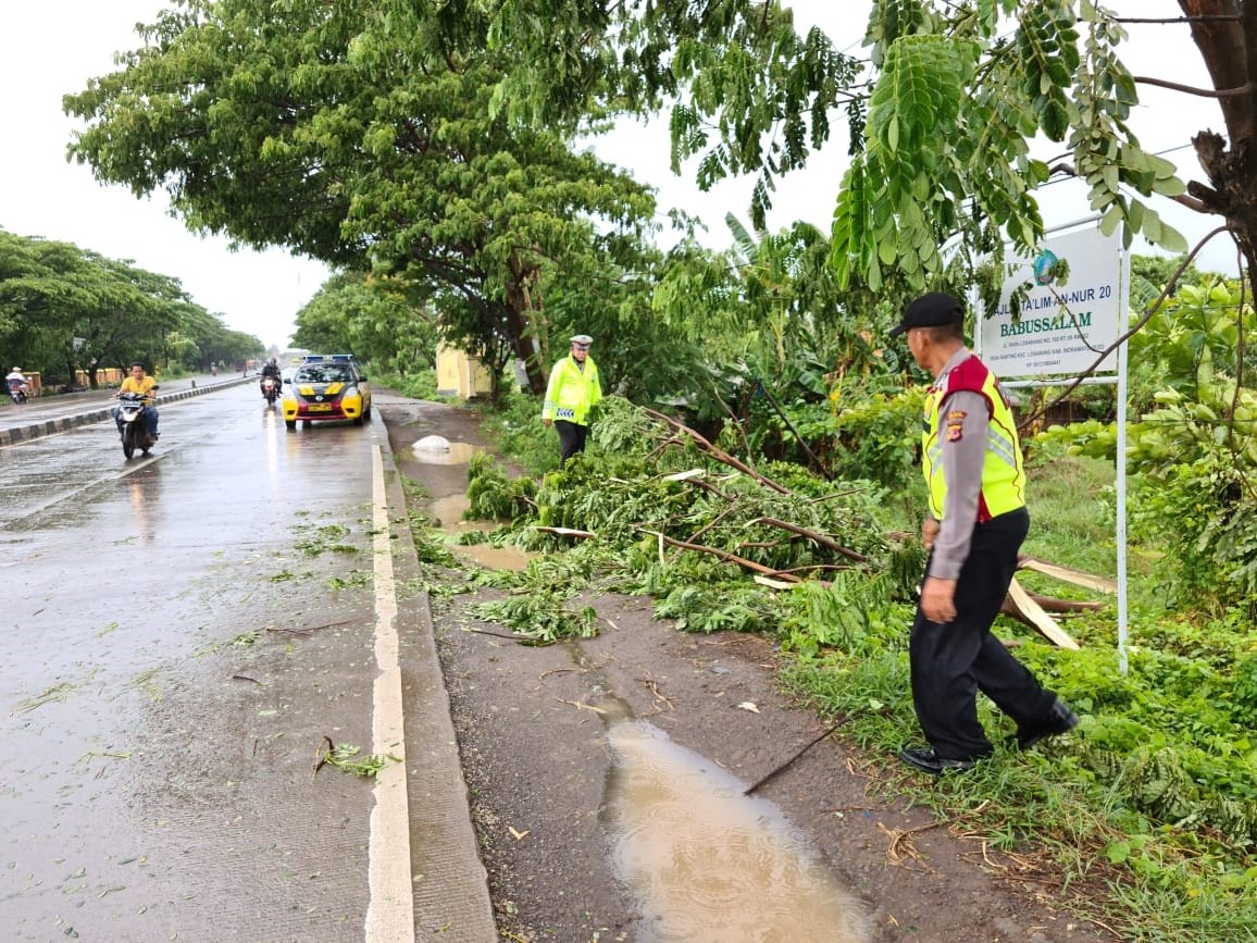 Polisi Patroli Pohon Tumbang