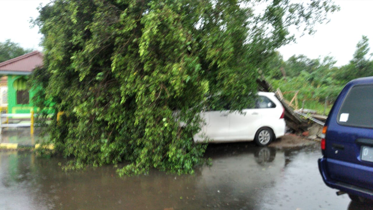 Ujunggebang Hujan Angin, Kabel PLN Putus, Mobil Tertimpa Pohon