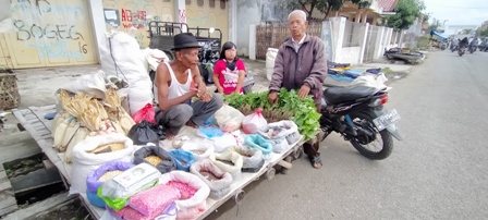 Benih Sayuran Diburu Warga
