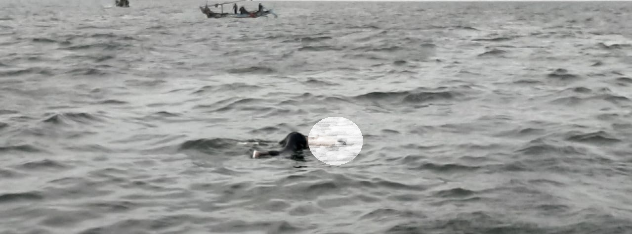 Hampir Bersamaan, Ditemukan Mayat Mengambang di Perairan Cirebon dan Patimban Subang