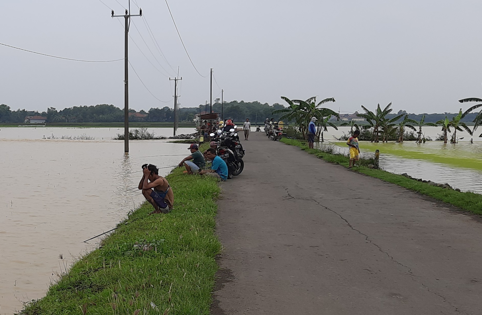 Banjir, Ramai-Ramai Mancing di Sawah