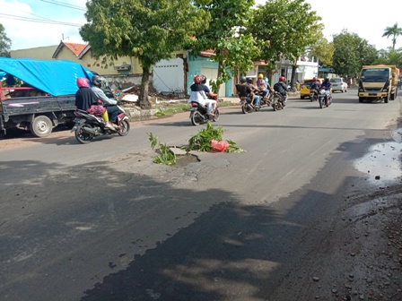 Jalan Berlubang Ditutup Ranting Pohon