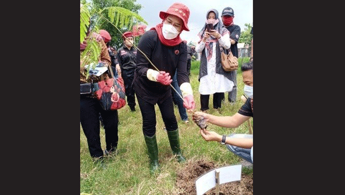 Bupati Terpilih Tanam Seribu Pohon