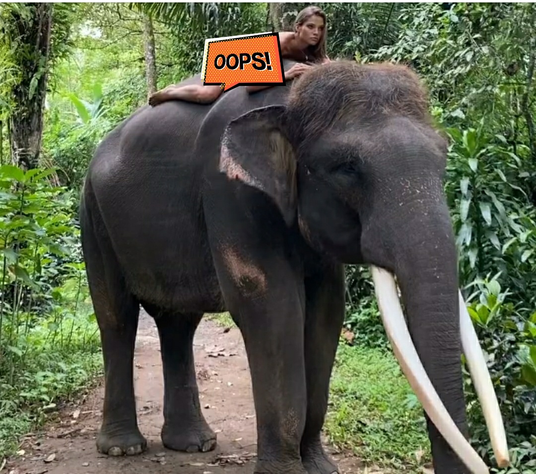 Model Rusia Alesya Kafelnikova Jadi Sorotan Gara-gara Foto Begitu di Atas Gajah
